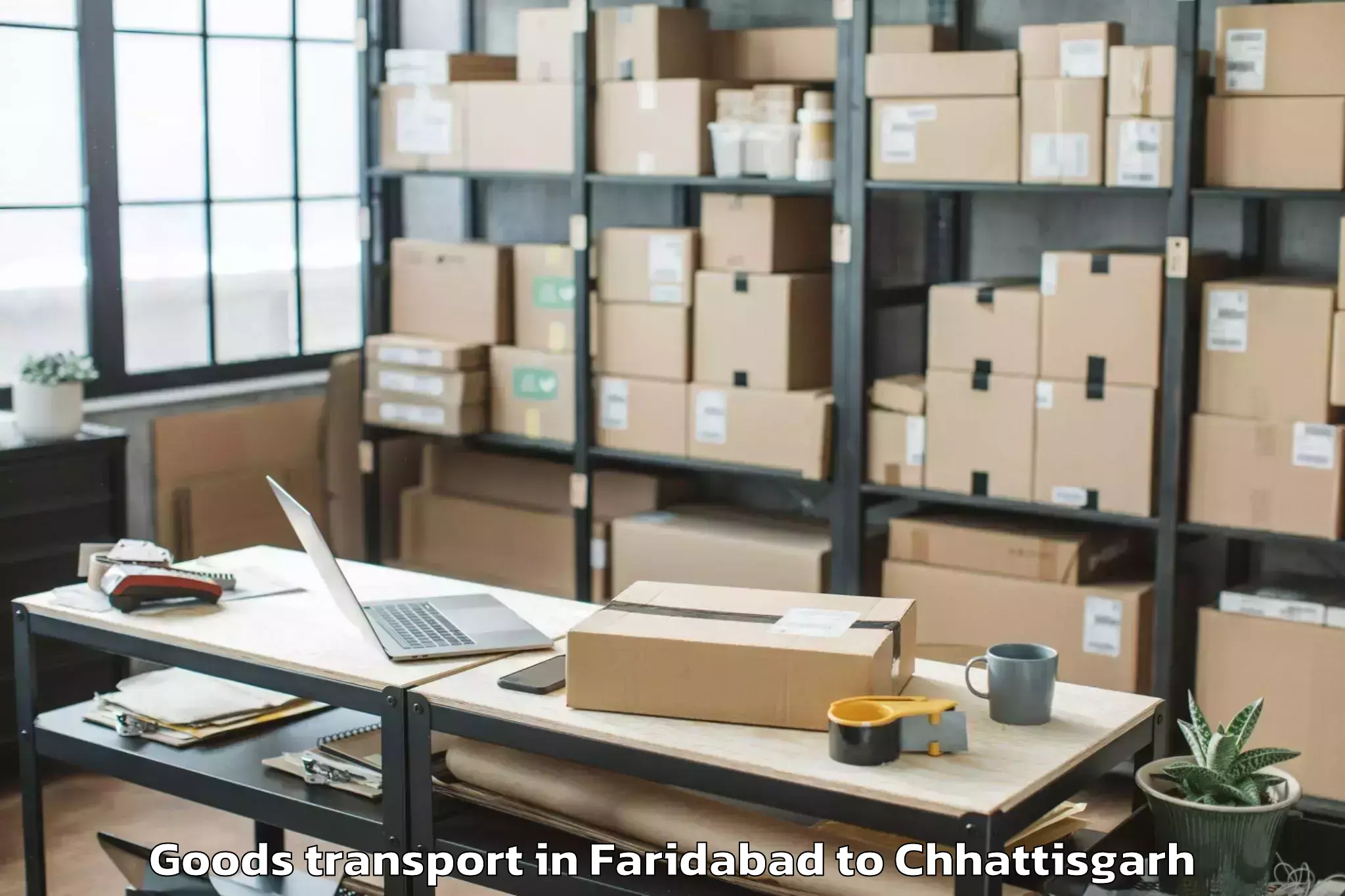 Easy Faridabad to Balod Goods Transport Booking